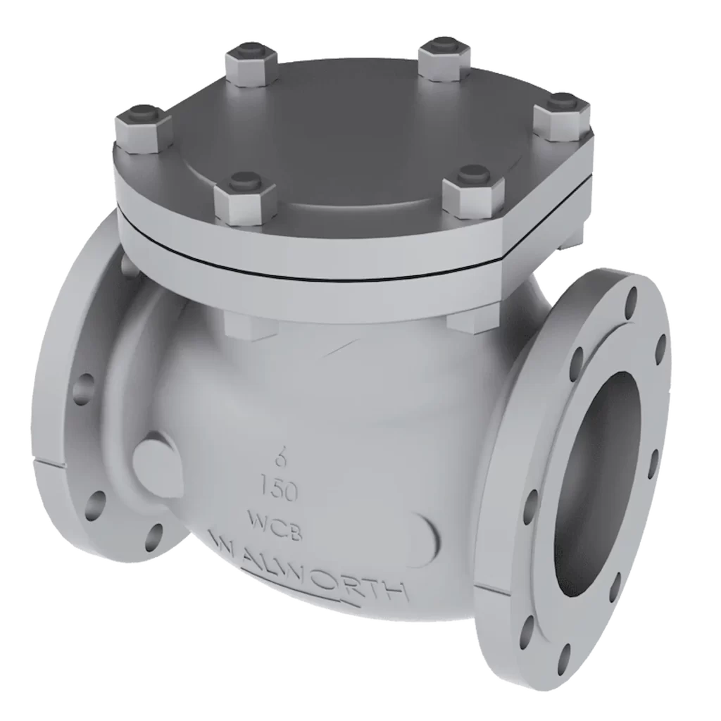 Check Valve